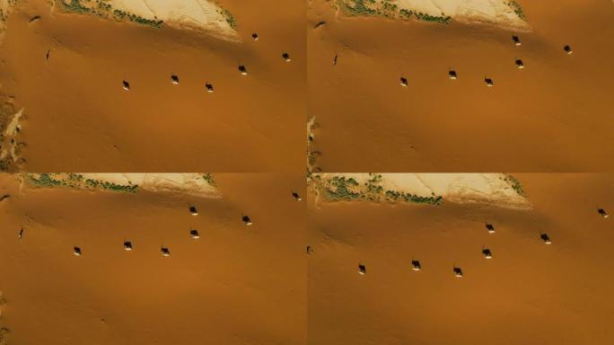 一小撮Gemsbok (羚羊) 在纳米布沙漠的红色沙丘中行走的高鸟瞰图