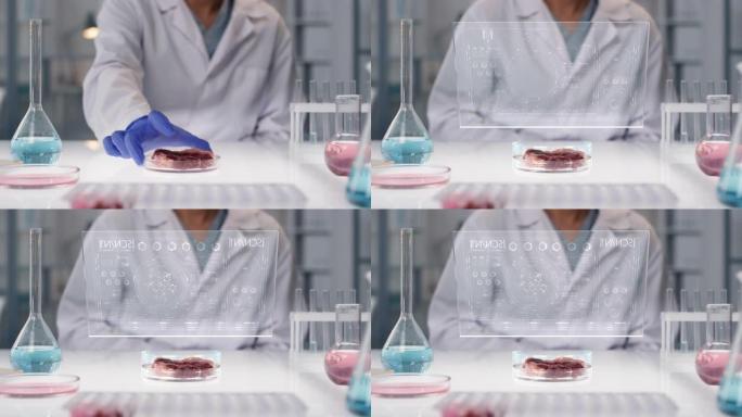 实验室种植肉类全息分析的CGI
