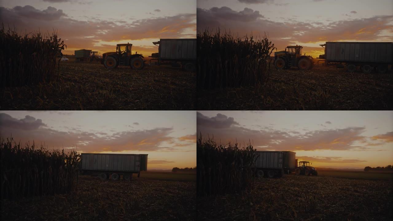 农民驾驶拖拉机，在田园诗般的日出田里收获玉米作物