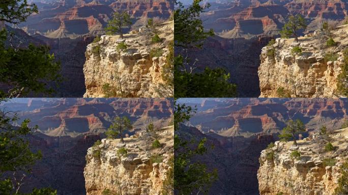 美国大峡谷的风景。背景为红色风化岩石。悬崖上的常青树。晴朗的晴天。UHD