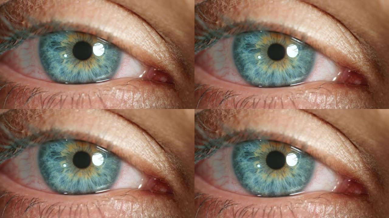 女人，视力和蓝眼睛在眨眼运动与面部皮肤，质地和对光的反射。人类解剖学中的缩放、肖像和美丽，关心人类、