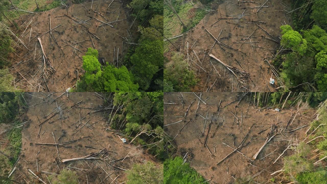 圆形空中特写。在热带雨林中砍伐和焚烧自给农业。气候变化。森林砍伐