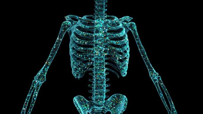 一种由粒子和数字点组成的人体骨骼的数字的、三维可视化的全息图像。数字骨架模板是理想的创建未来的控制面