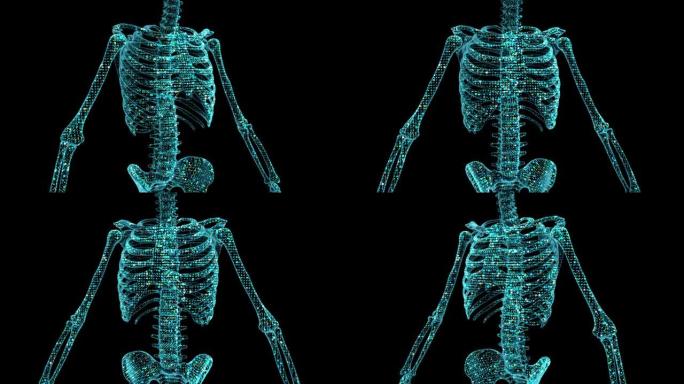 一种由粒子和数字点组成的人体骨骼的数字的、三维可视化的全息图像。数字骨架模板是理想的创建未来的控制面