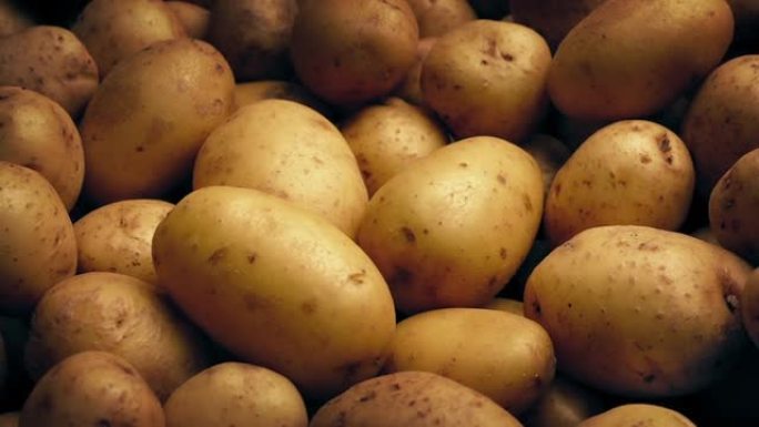 黄金土豆收获移动镜头