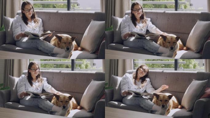 宁静的女人和她的狗在客厅的沙发上放松。美丽的年轻女士在看杂志和坐在家里的沙发上抚摸着她的混血宠物狗。