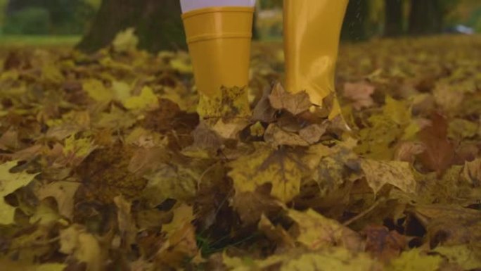 低角度: 穿着黄色胶靴的女人踢起干燥的秋色叶子。
