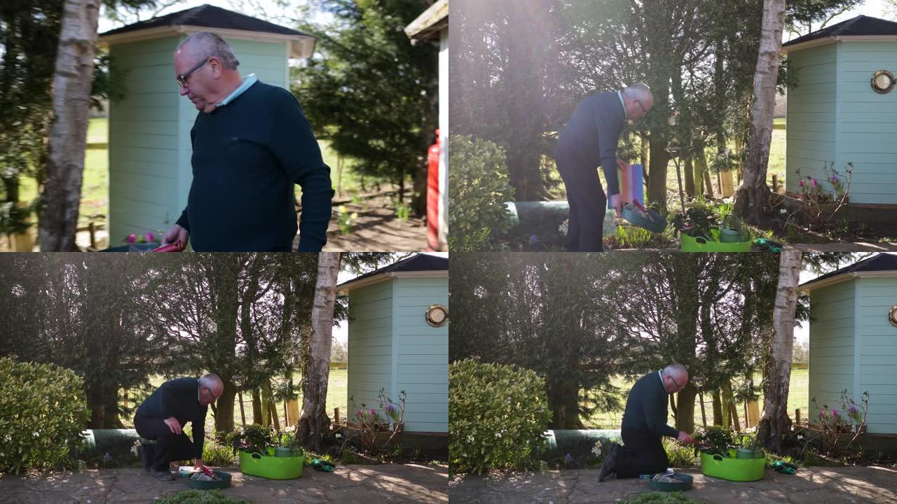 在花园里种花栽培栽种种植外国人