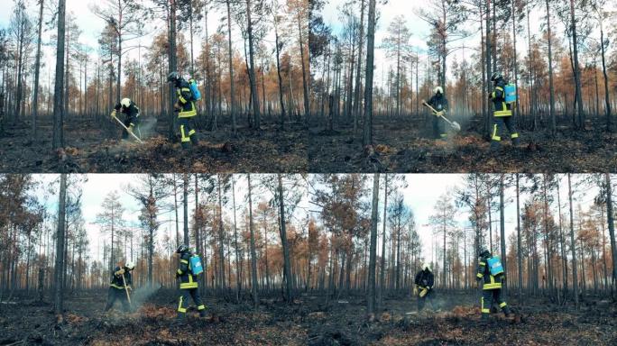 大火过后，消防员正在窒息森林。