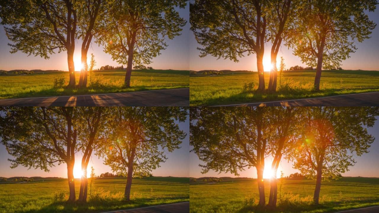 日落时用背光树木拍摄乡村景观的起重机