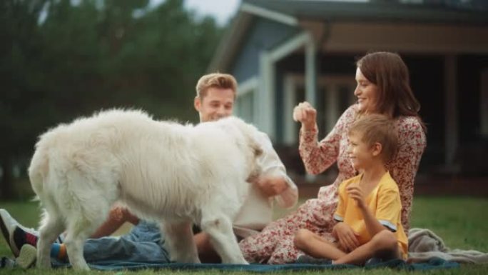 一对幸福的年轻家庭夫妇的肖像，有一个儿子和一个女儿，还有一只白色的金毛猎犬坐在家里前院的草地上。开朗