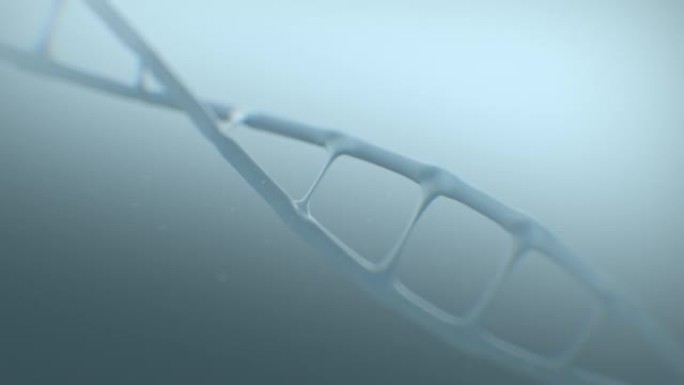 3d模型在雾中旋转白色DNA。DNA部分。DNA分子