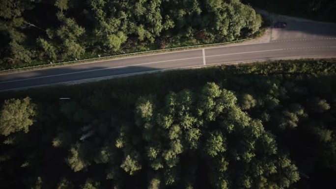 飞越森林中的柏油马路