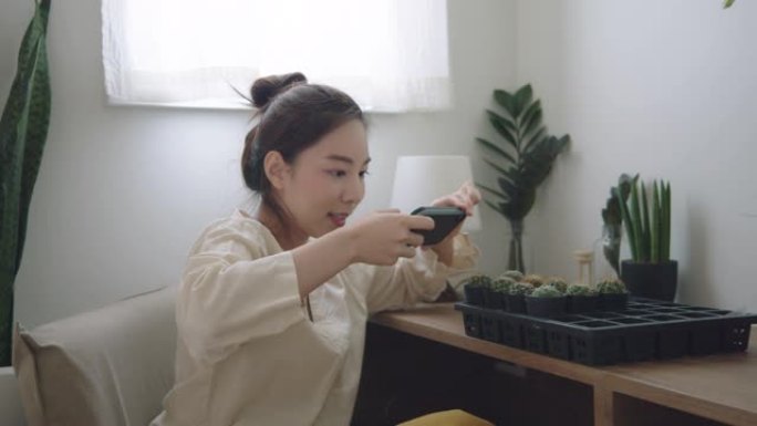 年轻女子在家用智能手机给仙人掌盆栽拍照。