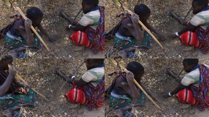 哈扎狩猎采集妇女在坦桑尼亚地面上挖掘块茎的特写