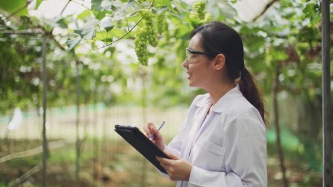 植物科学家在分析温室中的植物时使用数字平板电脑