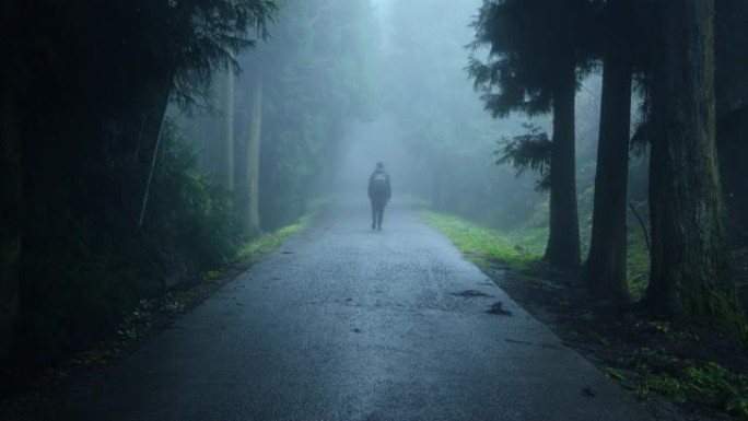 男子走在雾林路上男子走在雾林路