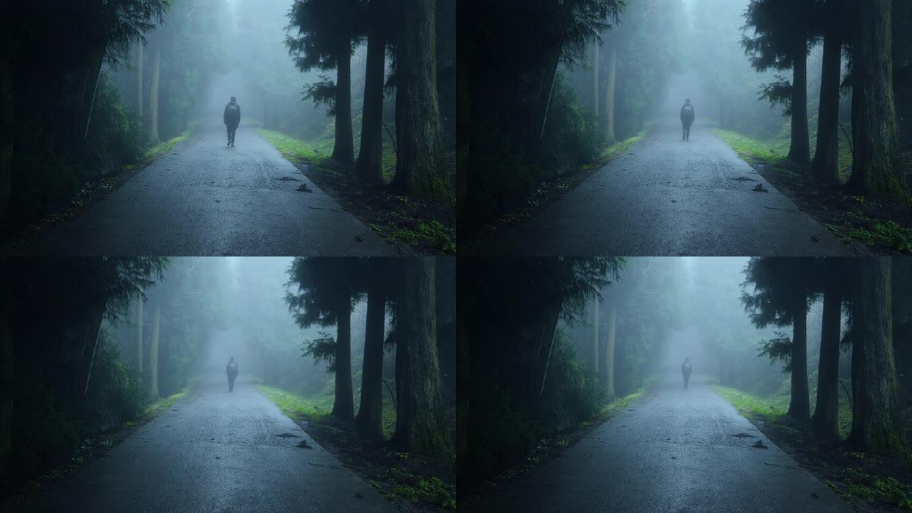 男子走在雾林路上男子走在雾林路