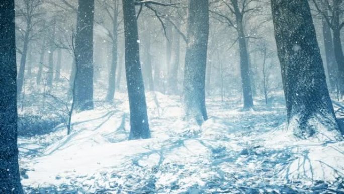 童话冬季森林与飘落的雪为圣诞节设计，并带有复制空间