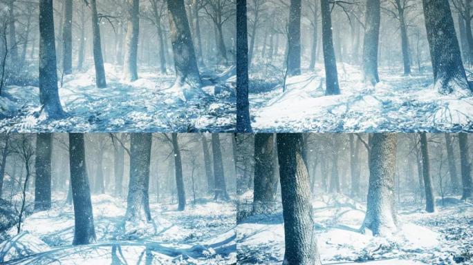 童话冬季森林与飘落的雪为圣诞节设计，并带有复制空间