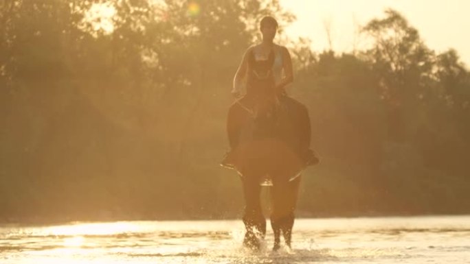 镜头耀斑: 年轻女子在日出时沿着浅河骑马。