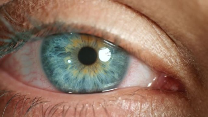 蓝眼睛，扩大瞳孔或隐形眼镜对妇女的视力改善，验光和人体解剖。特写，变焦或宏观细节，以提高人们的意识，