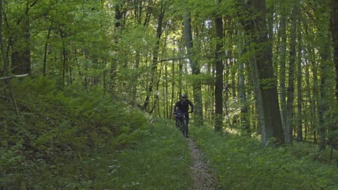 SLO MO MTB骑自行车的人在森林赛道上超速行驶