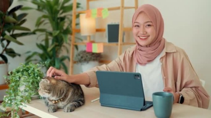 肖像亚洲穆斯林妇女高兴地坐在家里和她最喜欢的猫一起工作。