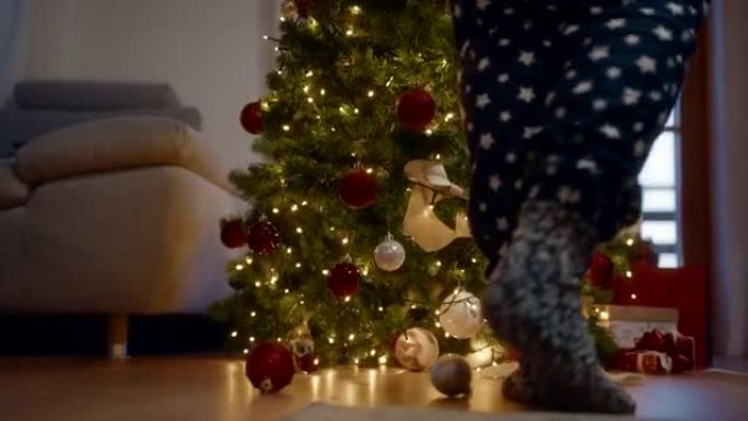 女人捡起倒下的装饰圣诞树