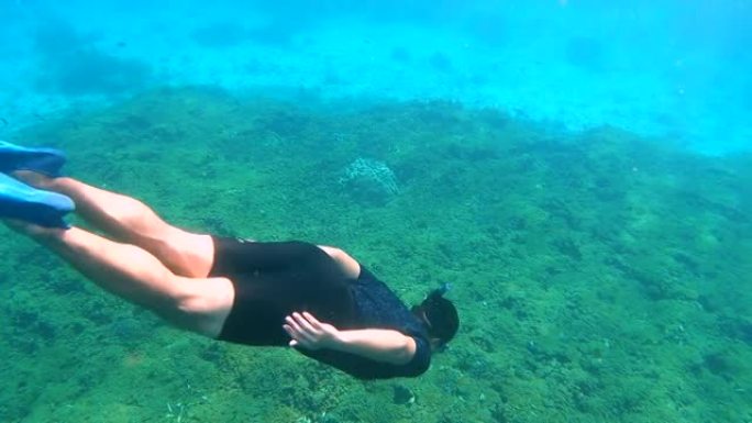 免费潜水员在清澈的海水和海水中的珊瑚礁中浮潜和自由潜水