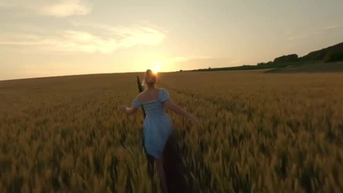 空中SLO MO欣喜若狂的女人在日落时分穿过麦田