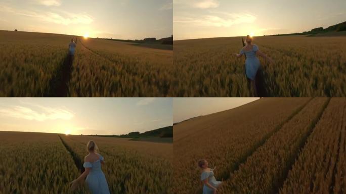 空中SLO MO欣喜若狂的女人在日落时分穿过麦田