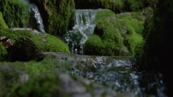 特写，DOF: 闪闪发光的水晶清澈的水流滑过长满苔藓的岩石。