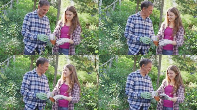 微笑的白人高级父亲和十几岁的女儿在花园工作并检查植物