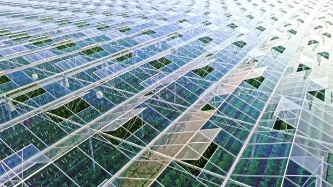 空中大型玻璃温室现代化种植业大棚种植
