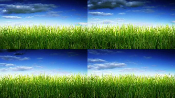 蓝天上的绿草。可循环。