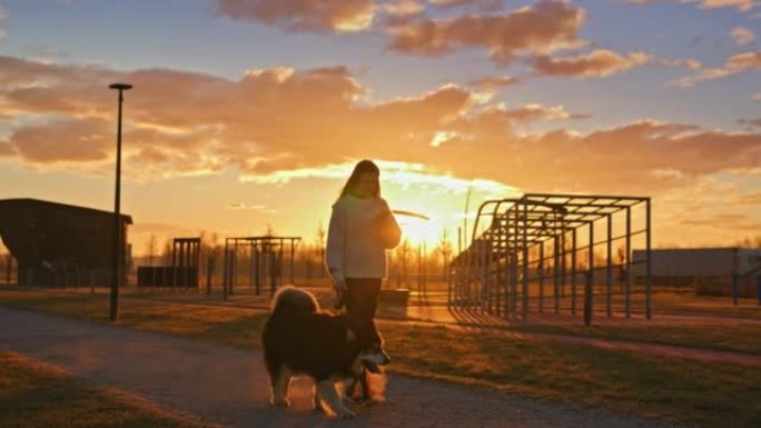 女人在训练场上使用手机和宠物哈士奇狗一起散步