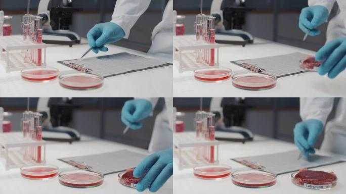 微生物学家在研究过程中将实验室种植的肉放在工作场所