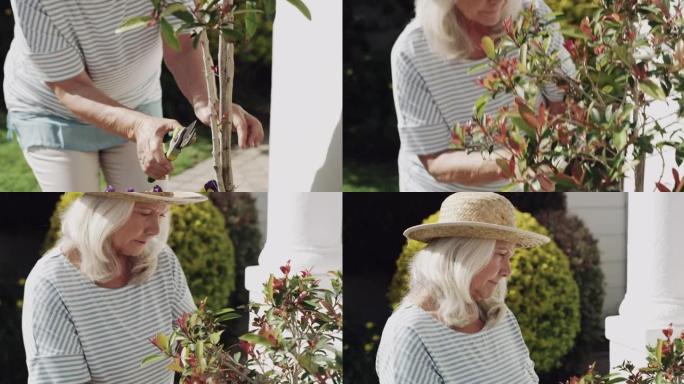 4k视频视频，一名在花园里工作的高级妇女