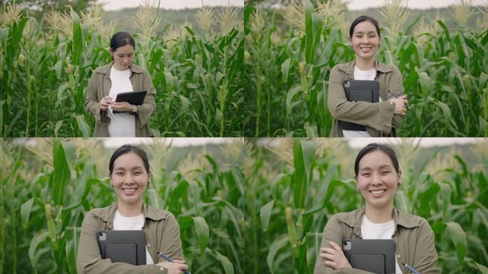 亚洲农民站在玉米地里自信地看着相机