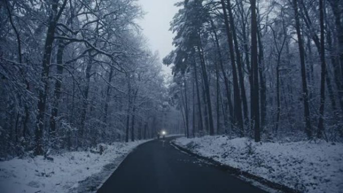 两个人一大早就骑马穿过一片白雪皑皑的森林。