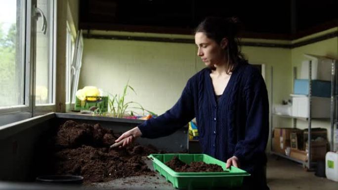 在温室中工作的年轻女子在栽培托盘中填充土壤