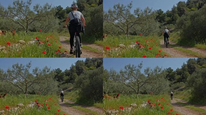 带着头盔的女人在Hvar岛美丽的草地旁边的乡间小路上骑自行车