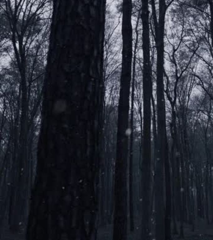 在寒冷的下雪天，森林的垂直拍摄