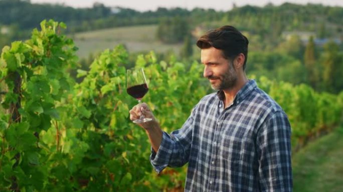 快乐成功的男性酿酒师的真实照片正在品尝一种风味，并检查日落时在葡萄园背景上倒入透明玻璃杯中的红酒质量
