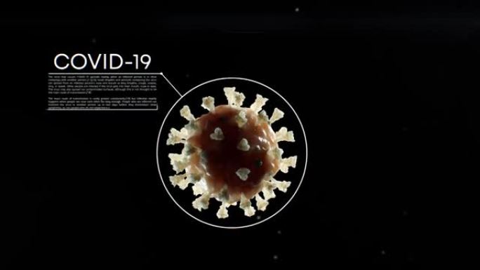 冠状病毒新型冠状病毒肺炎逼真的3d模型。带有抽象信息文本的美丽医学动画。科学概念。