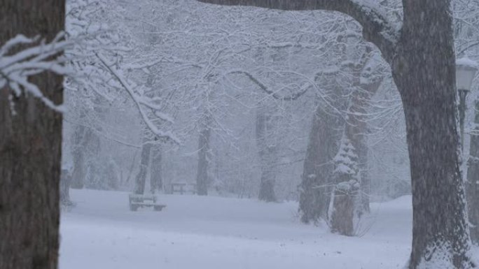 特写: 在暴风雪中，面目全非的人在公园里骑自行车。