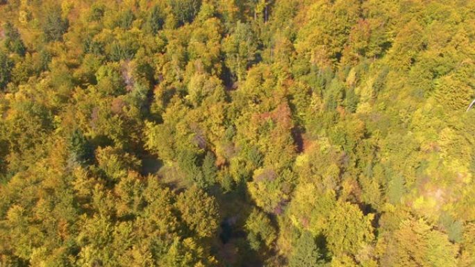 在阳光明媚的秋天，空中电影拍摄了在森林上空变化的色彩
