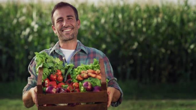 一名男子的肖像向镜头展示了一个装满蔬菜的盒子，背景是绿色的。快乐微笑的男性农民自豪地展示他田间的收成