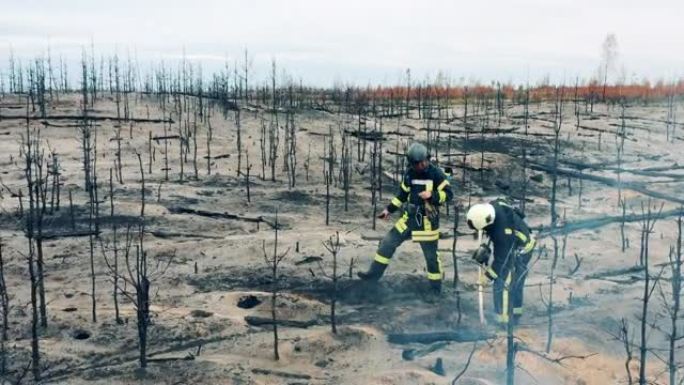 烧毁的森林区正在由两名消防员处理
